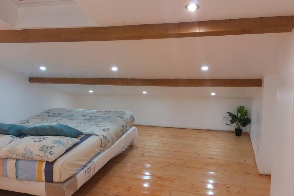 Appartement La Joie Dans Quartier Chic Pibrac Exterior photo