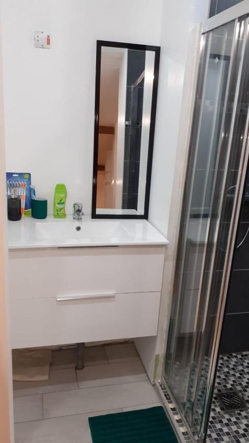Appartement La Joie Dans Quartier Chic Pibrac Exterior photo