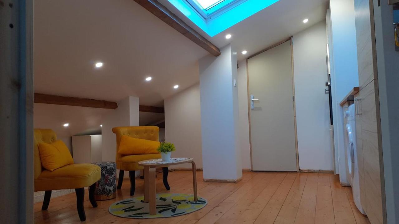 Appartement La Joie Dans Quartier Chic Pibrac Exterior photo
