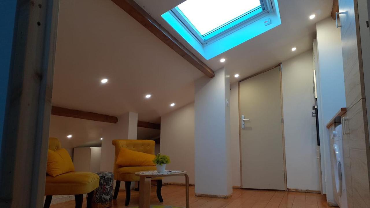 Appartement La Joie Dans Quartier Chic Pibrac Exterior photo