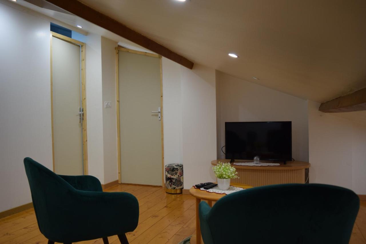 Appartement La Joie Dans Quartier Chic Pibrac Exterior photo